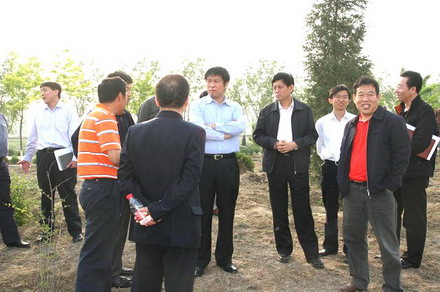 市科委到王佐鎮亞太種業物流交易中心調研(圖)