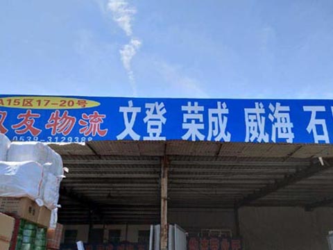 臨沂到文登物流公司,臨沂雙友物流